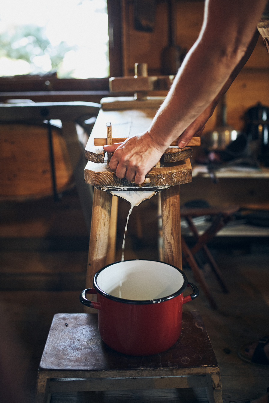 Cheese Making. Person Making Cottage Cheese Using Cheese Press a
