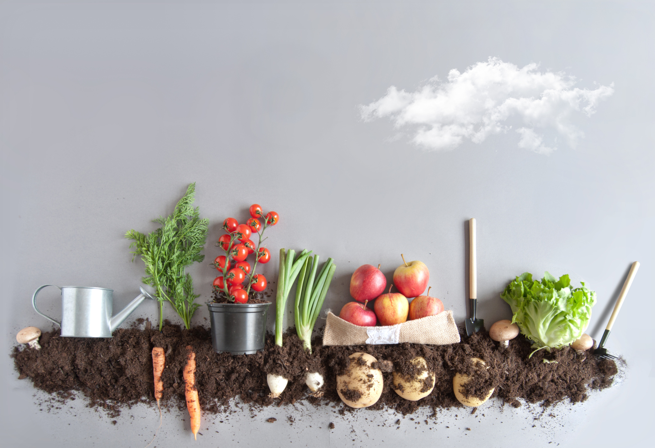 Organic fruit and vegetable garden background